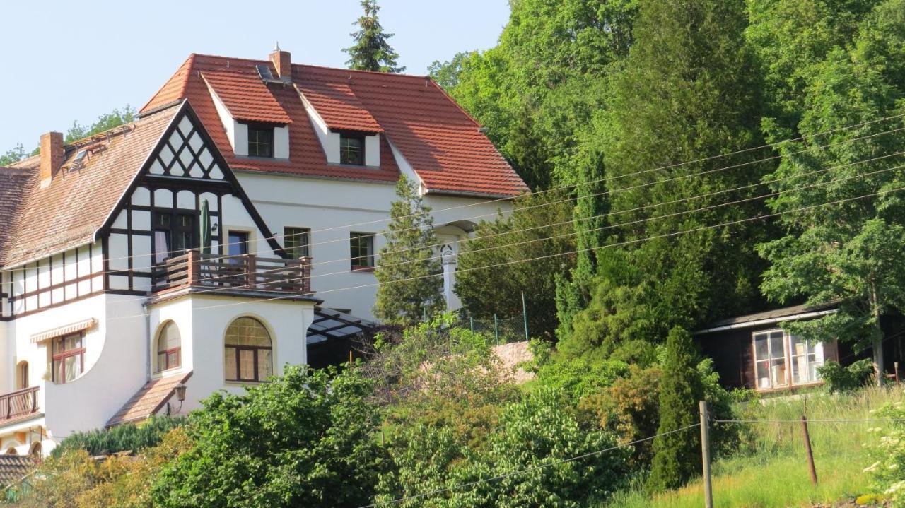 Ferienhaus Elbsommer Am Weinberg II ไมเซน ภายนอก รูปภาพ